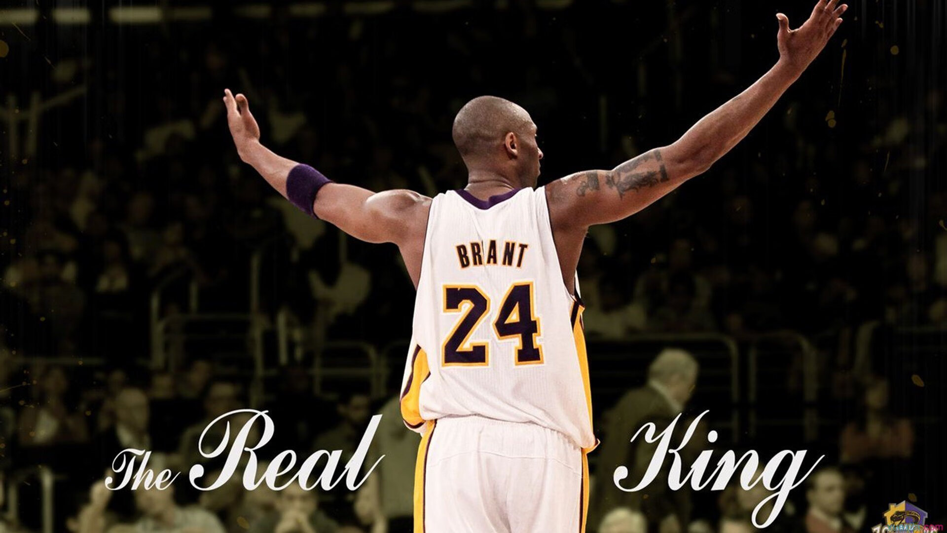 KAIYUNAPP-【年度经典战役】那些令人难忘的精彩对决瞬间，经典战例汇编